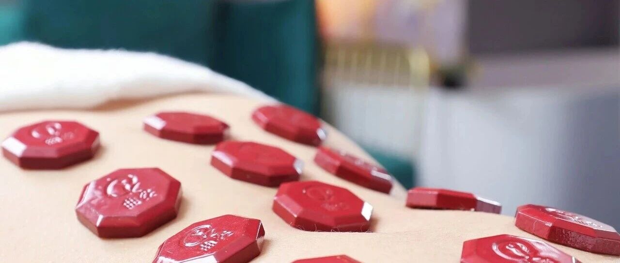 曲姿第11代瘦身新品上市